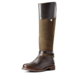 Ariat Carden Waterproof Boot