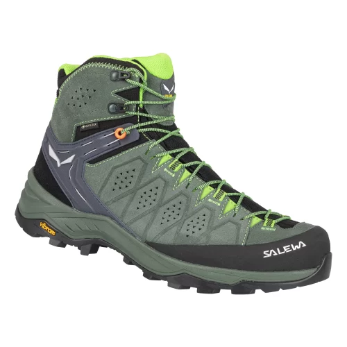Alp Trainer 2 Mid GORE-TEX® Men's Shoe