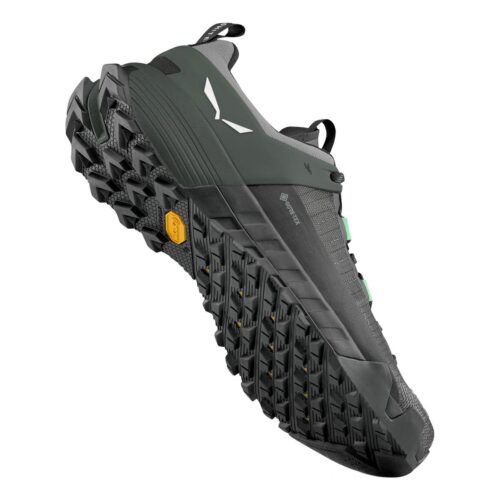 Salewa-Wildfire-NXT-GORE-TEX-Approach