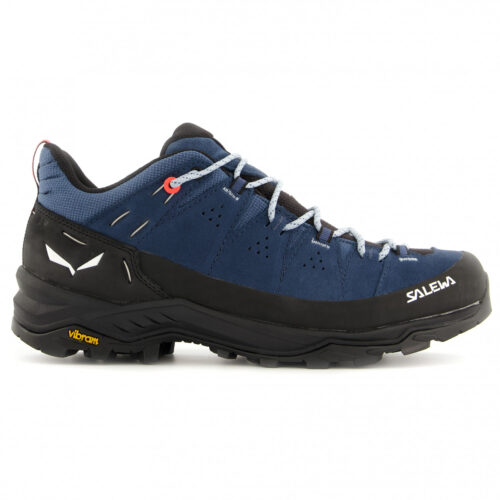 Womens Alp Trainer 2 GTX Denim