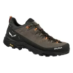salewa Alp trainer 2 gtx