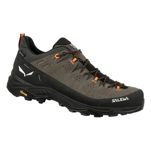 salewa Alp trainer 2 gtx